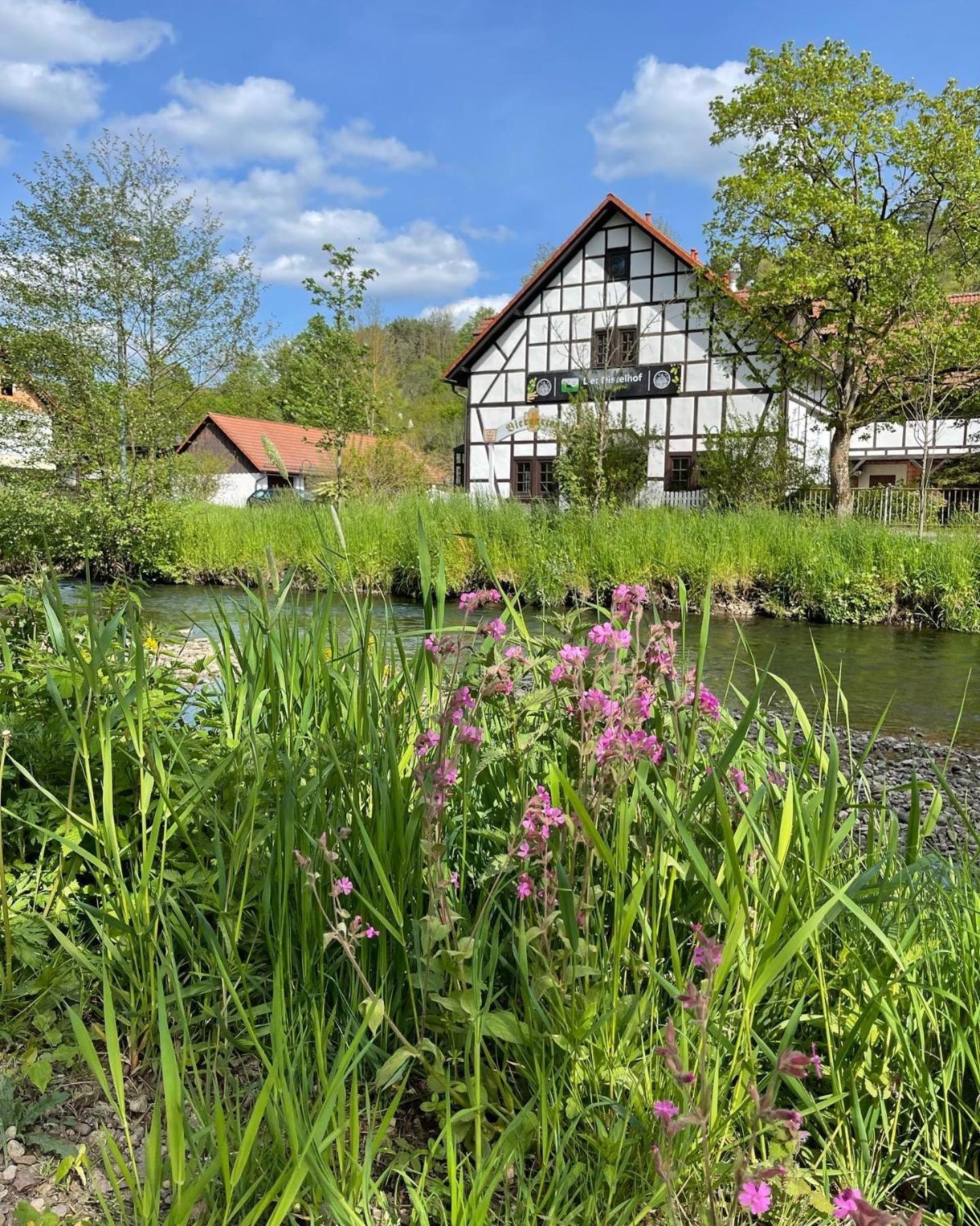 Landhotel Der Distelhof Mit Scheunencafe Dillstadt Exteriér fotografie